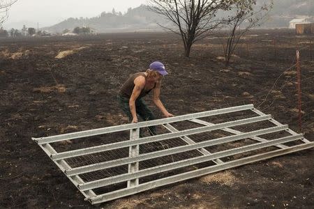 Robert Hooper attempts to repair a gate on his property that was burnt by the so-called Valley Fire near Middletown, California September 14, 2015. REUTERS/David Ryder