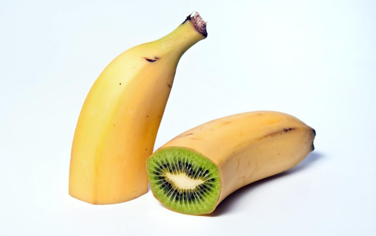 Un _platakiwi_. <a href="https://www.shutterstock.com/es/image-photo/banana-kiwi-hybrid-45351391" rel="nofollow noopener" target="_blank" data-ylk="slk:Shutterstock / Moses Lundwerk;elm:context_link;itc:0;sec:content-canvas" class="link ">Shutterstock / Moses Lundwerk</a>