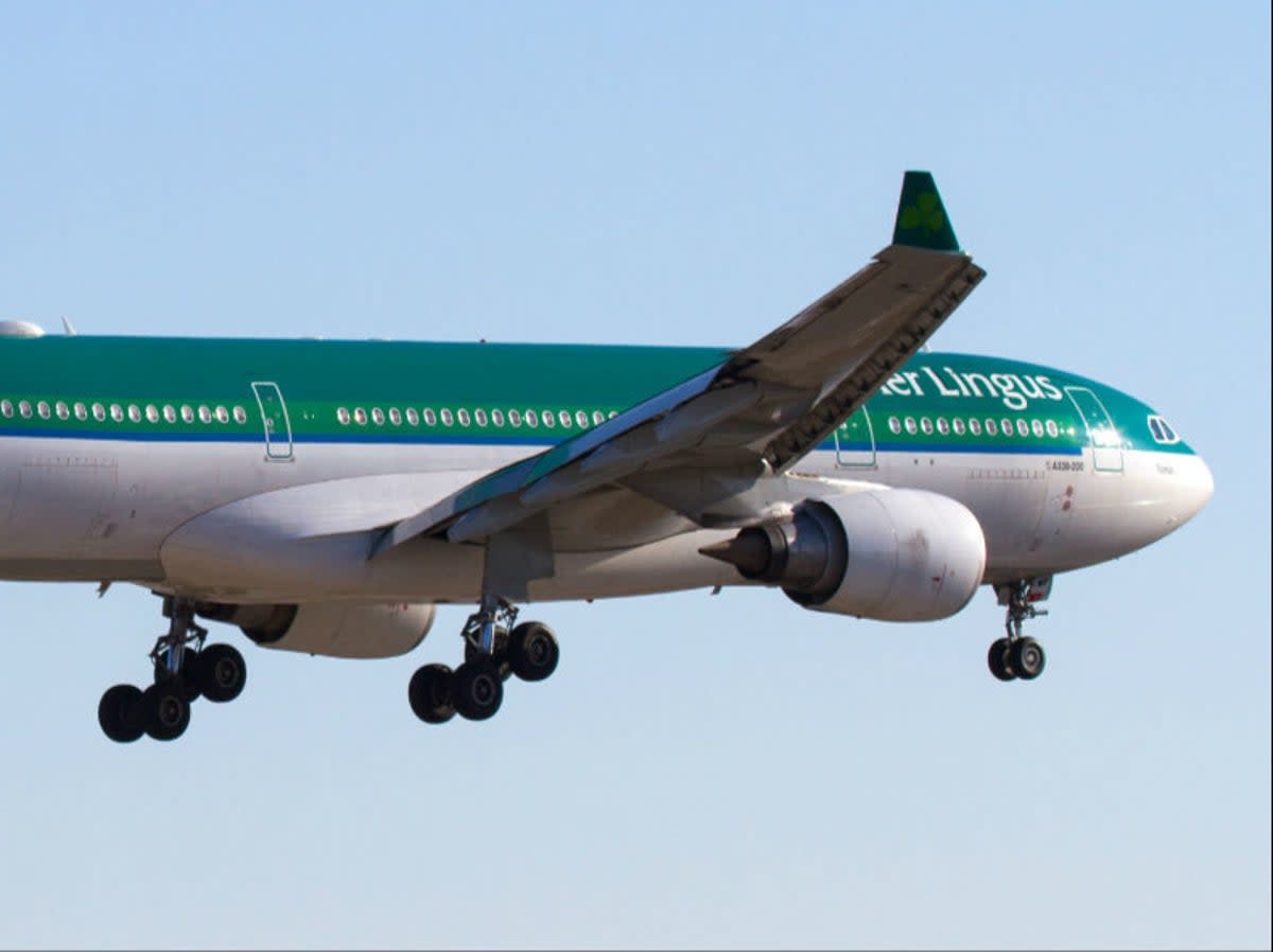 Clear skies? Aer Lingus A330 landing at Dublin airport (Matt Carter)