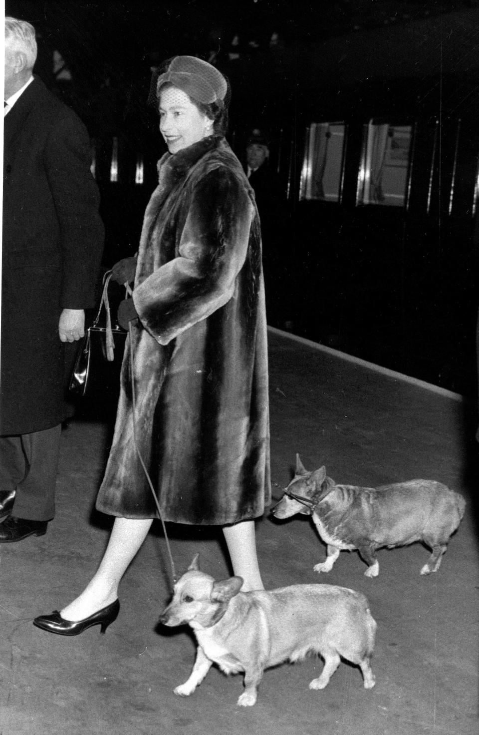 FILE - Britain's Queen Elizabeth II walks with one of her corgis in an undated file photo. Queen Elizabeth II's corgis were a key part of her public persona and her death has raised concern over who will care for her beloved dogs. The corgis were always by her side and lived a life of privilege fit for a royal. She owned nearly 30 throughout her life. She is reportedly survived by four dogs. (AP Photo)