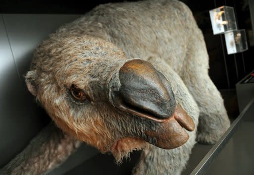 A reconstructed model of a "diprotodon", an ancient rhino-sized mega-wombat, is seen at the Australian Museum in Sydney on Thursday. Australian scientists Thursday unveiled the biggest-ever graveyard of diprotodons, with the site potentially holding valuable clues on the species' extinction. The remote fossil deposit in outback Queensland state is thought to contain up to 50 diprotodon skeletons