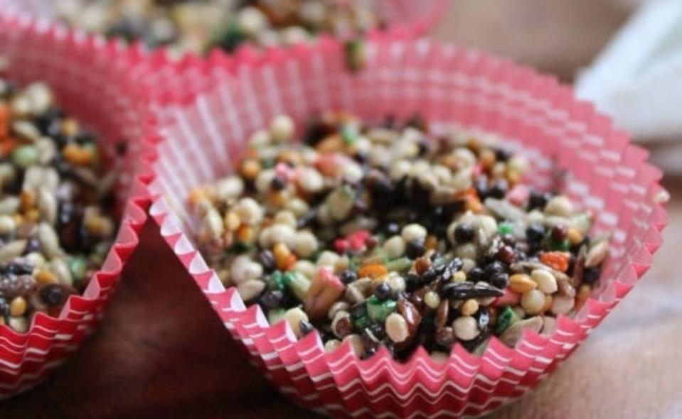 <p>Premeditated Leftovers</p><p>The kids will love making this super simple mix, plus it's safe for squirrels and birds too.</p><p><strong>Get the recipe: <a href="https://premeditatedleftovers.com/naturally-frugal-living/easy-reindeer-food-recipe/" rel="nofollow noopener" target="_blank" data-ylk="slk:Easy Reindeer Food;elm:context_link;itc:0;sec:content-canvas" class="link ">Easy Reindeer Food</a></strong></p><p><strong>Related: <a href="https://www.yahoo.com/lifestyle/70-santa-approved-winter-desserts-132000563.html" data-ylk="slk:70 Best Winter Desserts;elm:context_link;itc:0;sec:content-canvas;outcm:mb_qualified_link;_E:mb_qualified_link;ct:story;" class="link  yahoo-link">70 Best Winter Desserts</a></strong></p>