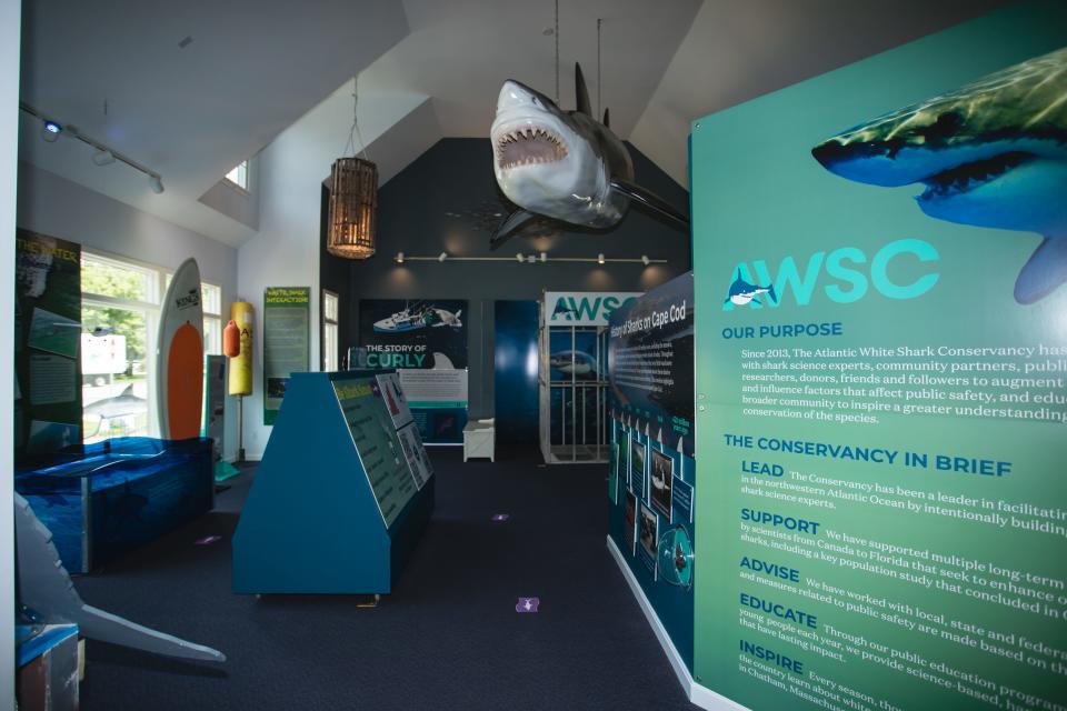 The Shark Center will be open this week with its special exhibit “From Red to Green: Understanding the IUCN Red List.”