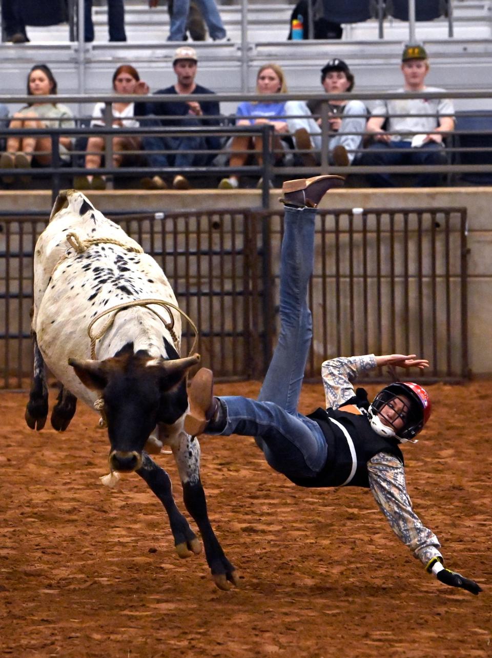 An Abilene Christian University student is thrown from the calf she was riding during the ACU Intramural Rodeo April 25.