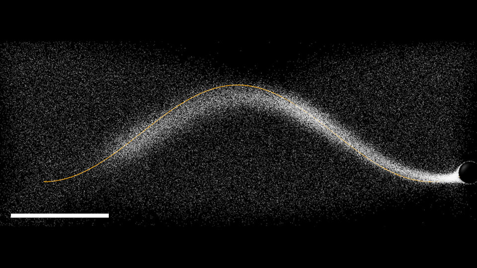 Sinusoidal line written in the BD simulation with parameters close to typical experimental ones. Note the slight, leftward shift of the written line with respect to the IEX trajectory (solid yellow line).