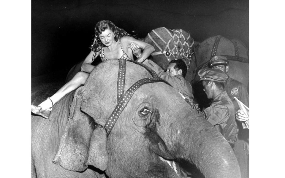 <p>Actress Esther Williams climbs atop an elephant for a charity show to benefit St. John's Hospital in Hollywood,</p>