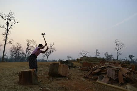 A woman chops fire wood with an axe at a logging camp in Pinlebu township, Sagaing division in northern Myanmar March 9, 2014. REUTERS/Soe Zeya Tun/Files