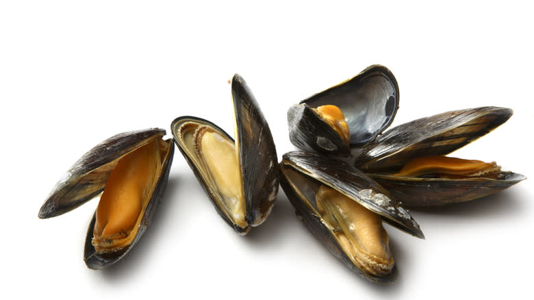 mussels close up