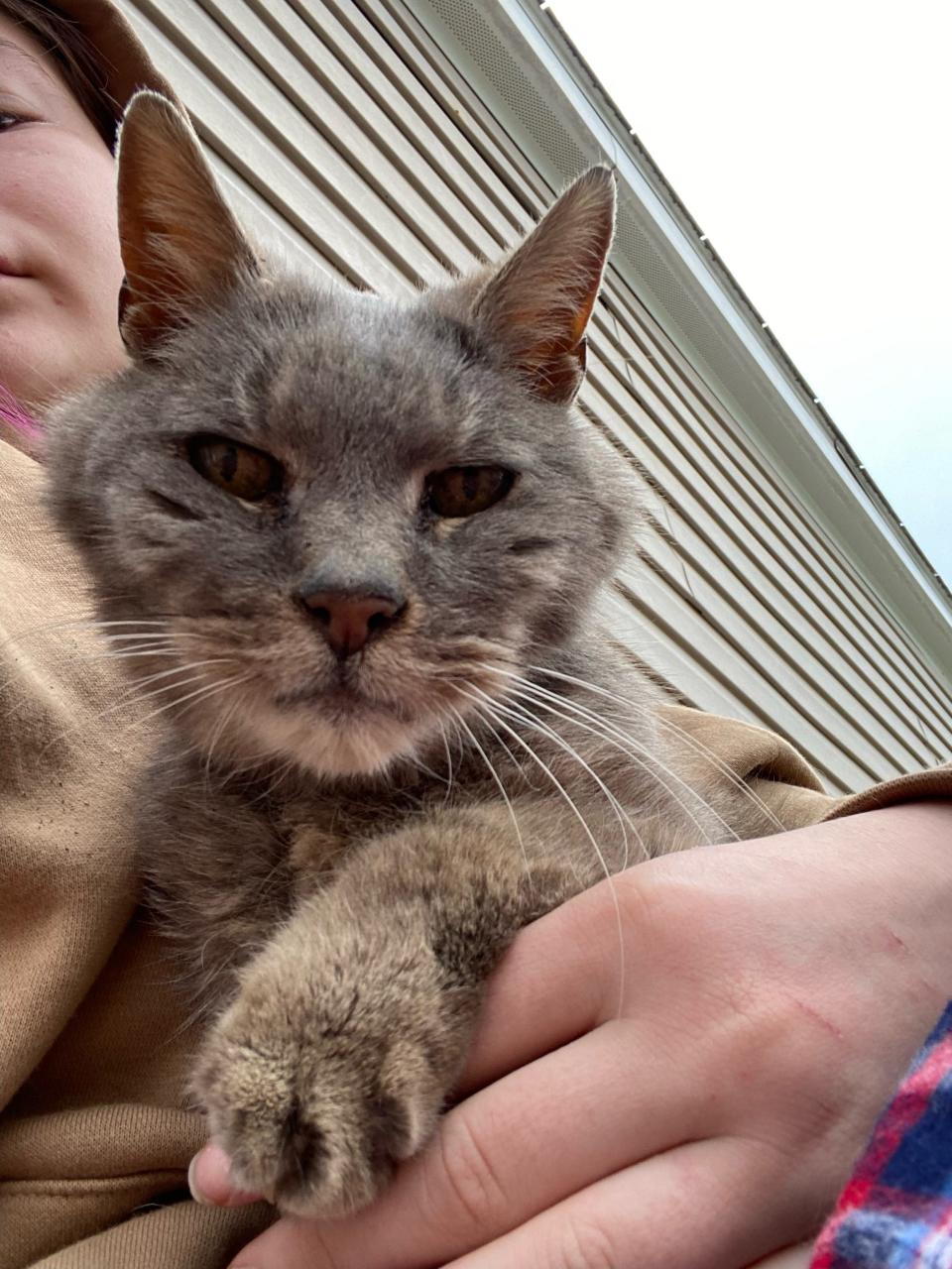 Ritz is held by Emily Russell, a woman who fed the cat for about two years when he showed up in her mobile home community near Lums Pond.