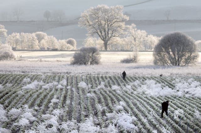 Winter Weather - 16th Jan