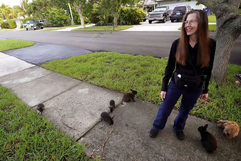 AP Photo/Wilfredo Lee