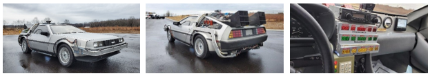 The DeLorean from Back To The Future (Credit: US Marshals Service)