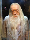 <b>Harry Potter Studio Tour</b><br><br> Dumbledore.