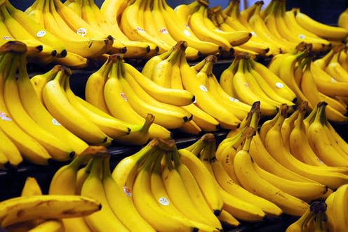 <span class="caption">Cavendish bananas may not be around for much longer.</span> <span class="attribution"><span class="source">Steve Hopson/wikipedia</span>, <a class="link " href="http://creativecommons.org/licenses/by-sa/4.0/" rel="nofollow noopener" target="_blank" data-ylk="slk:CC BY-SA;elm:context_link;itc:0;sec:content-canvas">CC BY-SA</a></span>