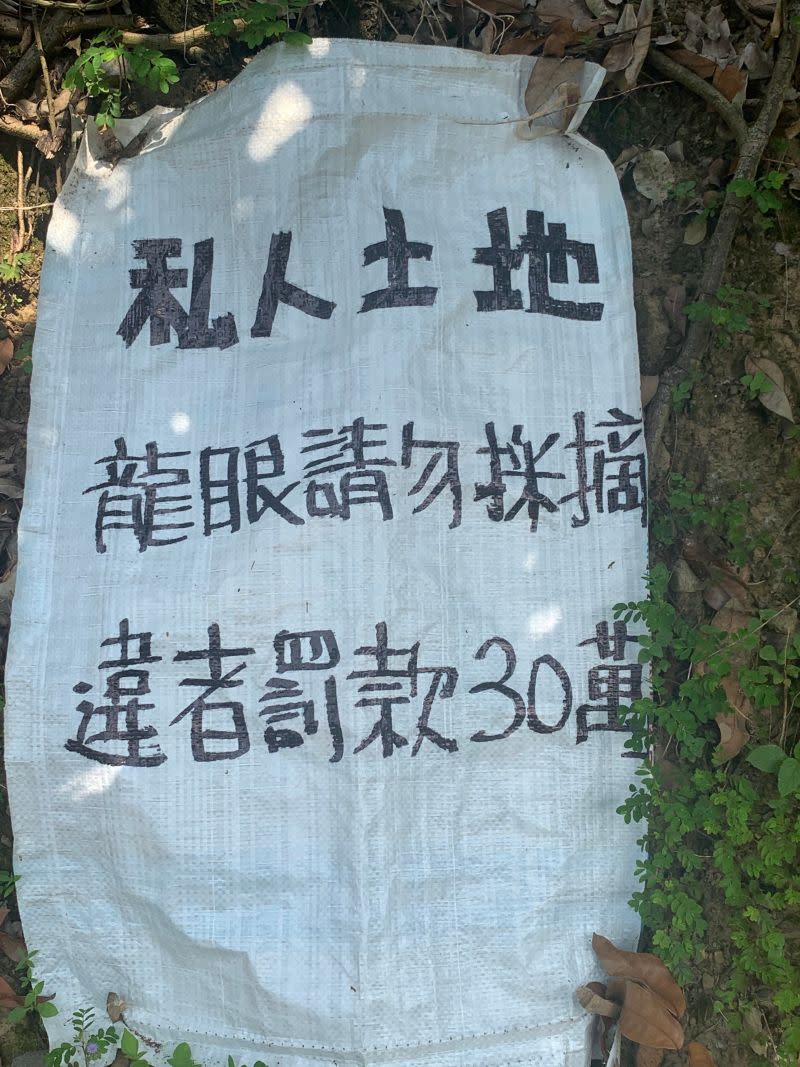 ▲霧峰桐林山區偷採龍眼事件頻傳，果農懸掛警告標誌，希望嚇阻不肖民眾偷摘(圖／李天生提供2022.8.14)