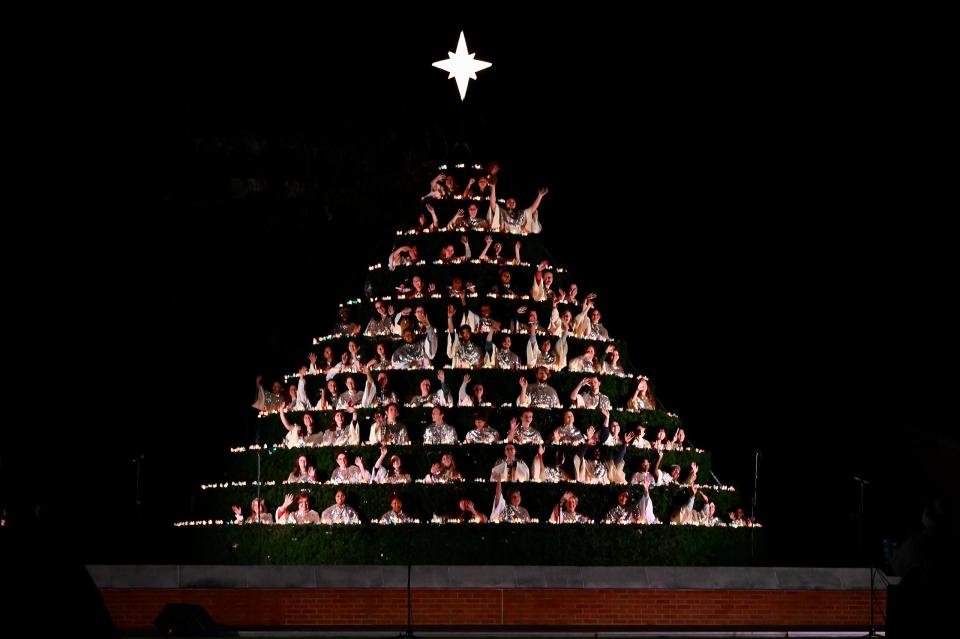 Belhaven Singing Christmas Tree