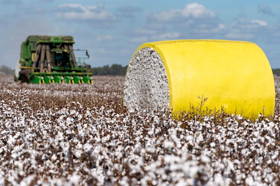 The cotton market will be one of the topics discussed at the 2024 Southeast Panhandle Agriculture Conference on Jan. 16 in Clarendon.