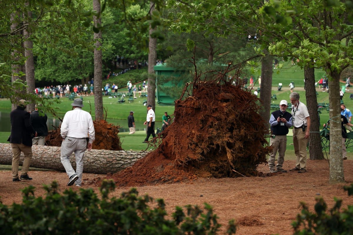 A tree collapsed at the 17th green  (Getty Images)