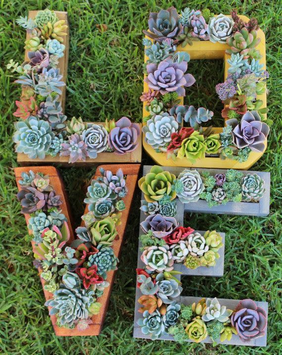 Succulent Letters