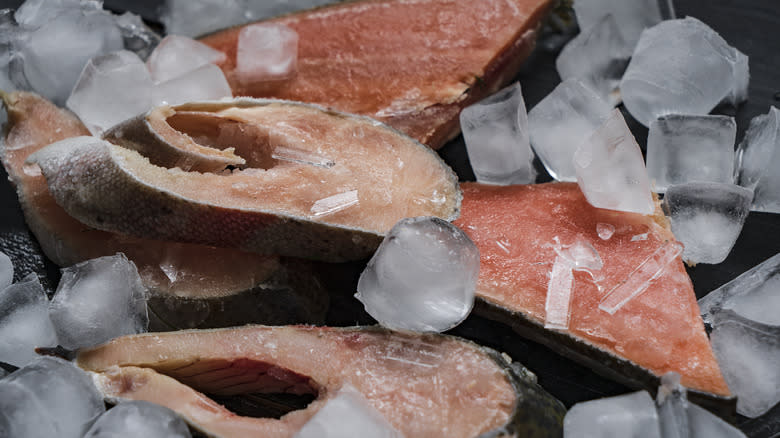 frozen salmon filets with ice cubes