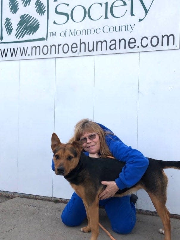 Monroe resident Kelly Karlet, an on-site vet tech at the Humane Society of Monroe County, hugs Katie, a 3-year-old mixed shepherd. Katie was picked up as a stray and has been diagnosed with a heart arrhythmia and Lyme disease.