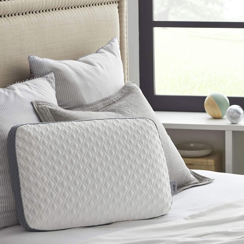 Sealy Molded Memory Foam Pillow