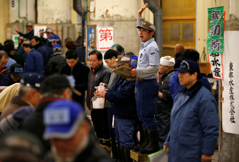 Bidding for tuna at Tsukiji