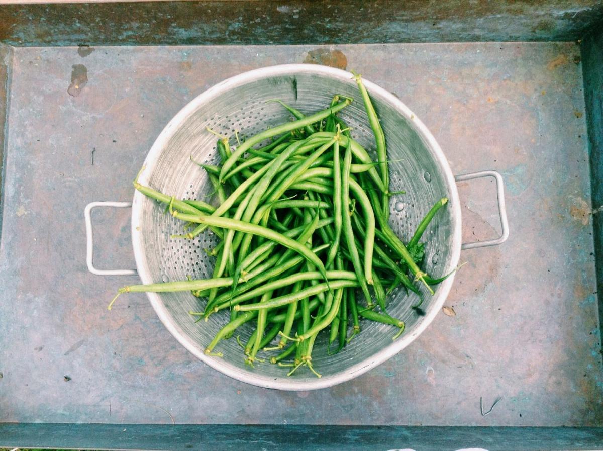 Cómo cocinar ejotes para que queden perfectos y dos recetas