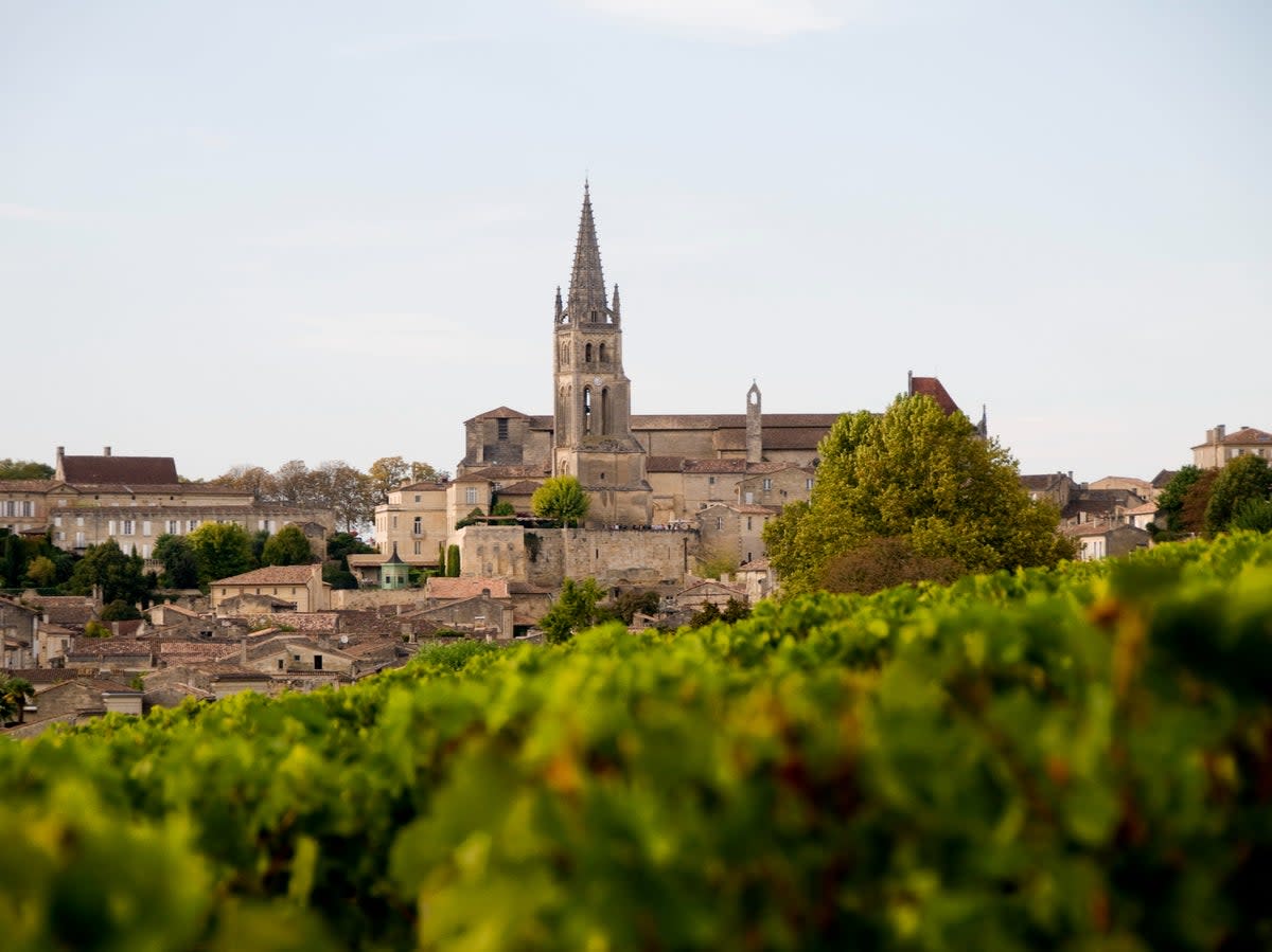 The vineyards of Saint-Emilion are an essential stop on a Bordeaux wine tour (Getty Images)