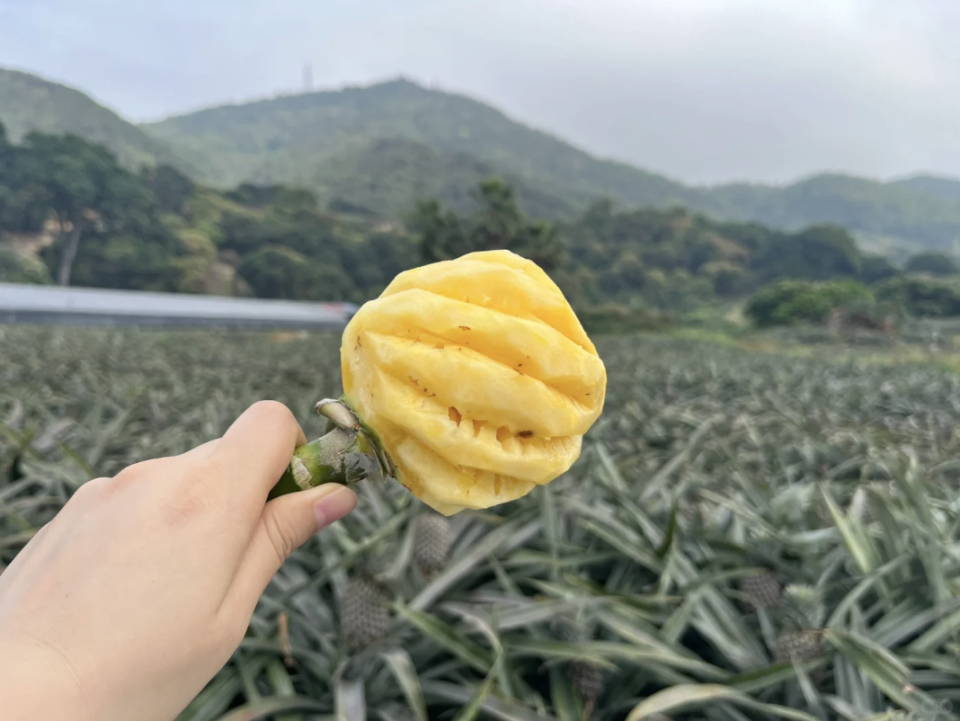 北上好去處｜內地美食團4大推介！遊甘坑古鎮任食貓山王榴槤/中山團送20吋行李箱/潮汕3日團嘆牛肉火鍋