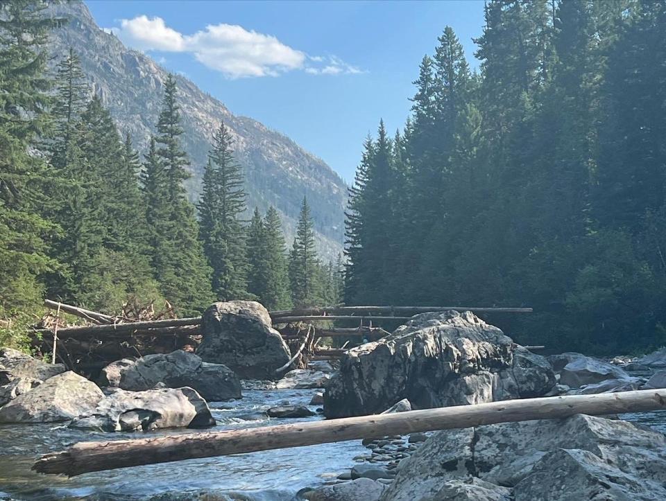 A stretch of the upper Boulder River, not far from the old mining ghost town of Independence. Native cutthroat trout dominate this section of the river.