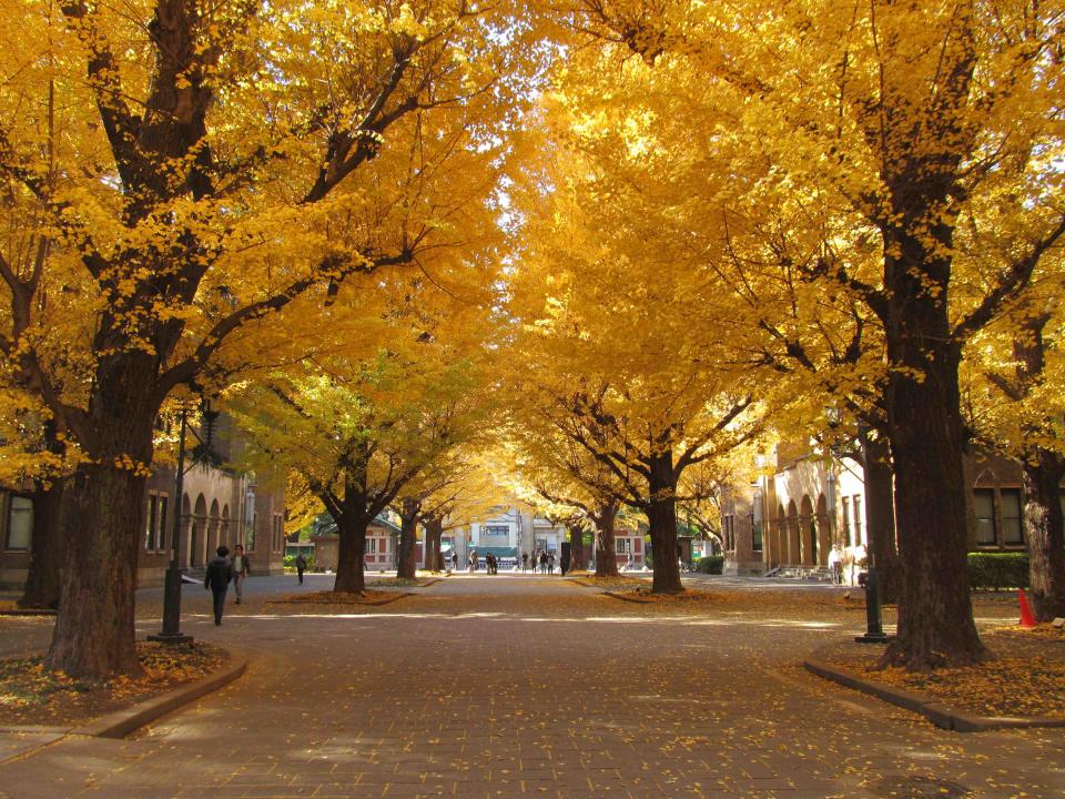 東京大學・本鄉校區