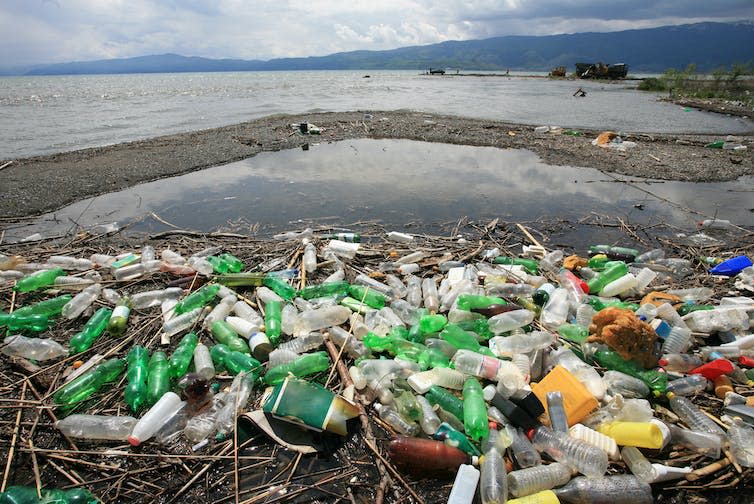 Un montón de botellas de plástico junto a un lago.