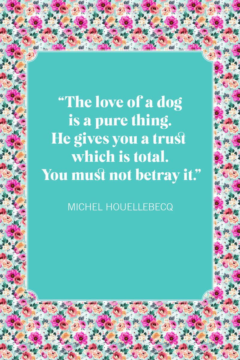 dog mom quotes michel houellebecq