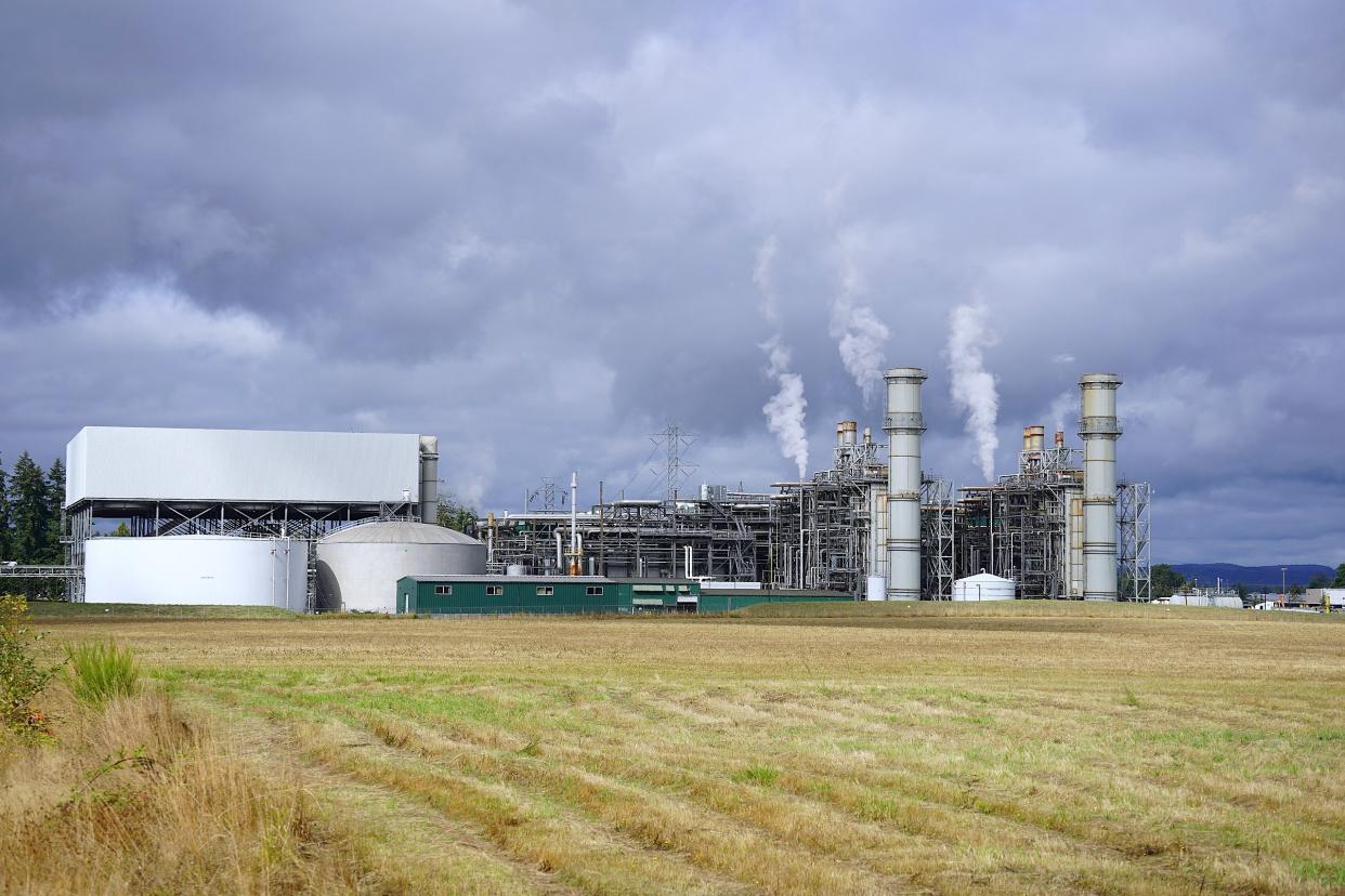 The Chehalis Power Plant, a gas-fired power station in Chehalis, Washington. Steven Baltakatei Sandoval via Wikipedia