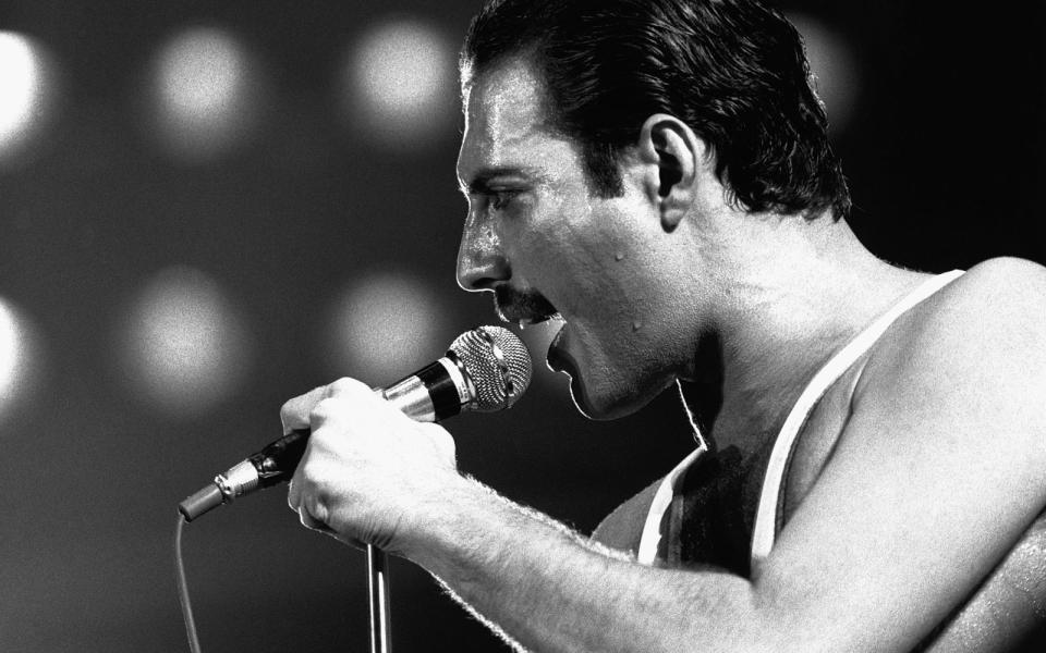 Es hatte bereits einige Spekulationen zu seinem Gesundheitszustand gegeben, doch Freddie Mercury informierte die Öffentlichkeit erst spät über seine AIDS-Erkrankung. Nur einen Tag später starb der legendäre Queen-Frontmann, dessen Tod inzwischen 30 Jahre zurückliegt. Die Galerie erinnert an Mercury und weitere Popstars, die auf tragische Weise aus dem Leben schieden. (Bild: Hulton Deutsch/Corbis/Getty Images)