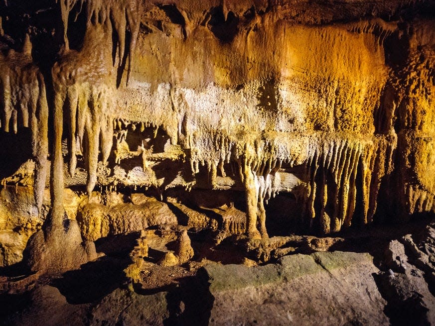 Mammoth Cave National Park