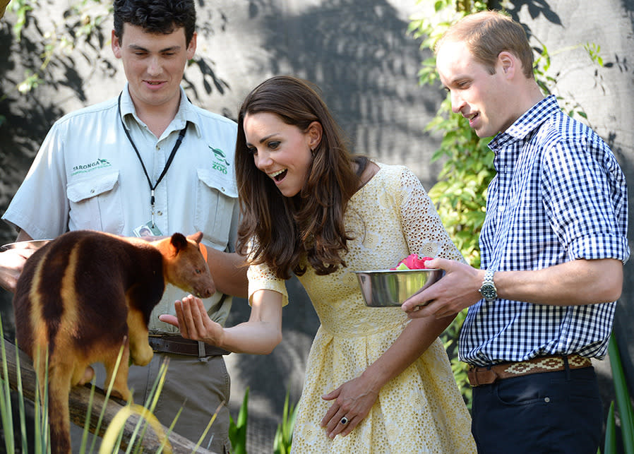 The Duchess yellow dress at Taronga Zoo.