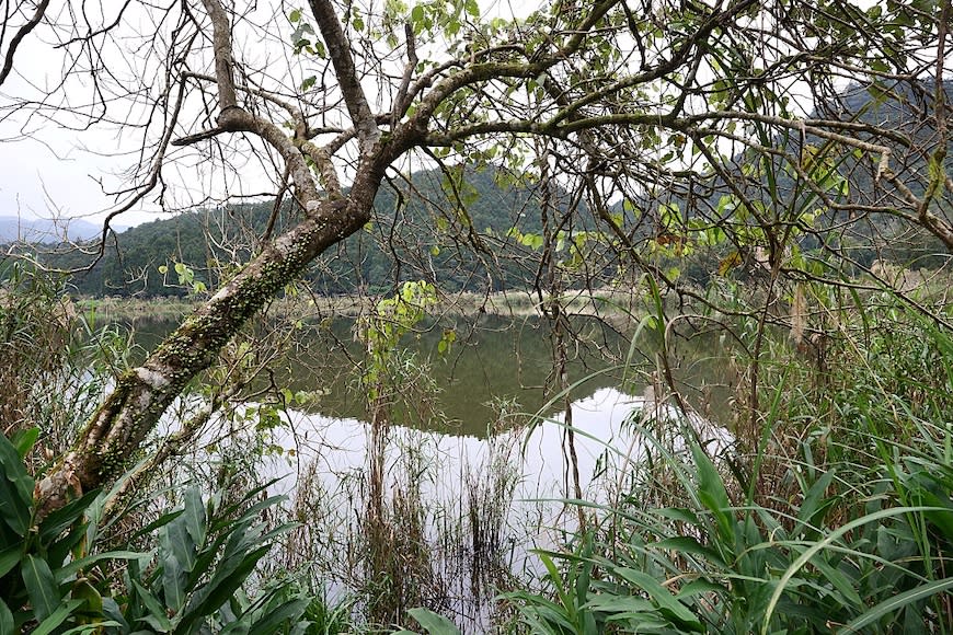 宜蘭雙連埤環湖步道