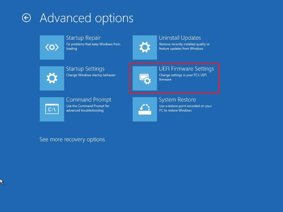 WinRE UEFI Firmware Settings