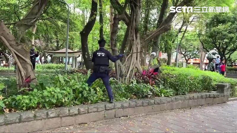 台北市大安區今早有活雞亂竄馬路，警出動漁網、垃圾袋抓雞。（圖／邱小姐授權提供）