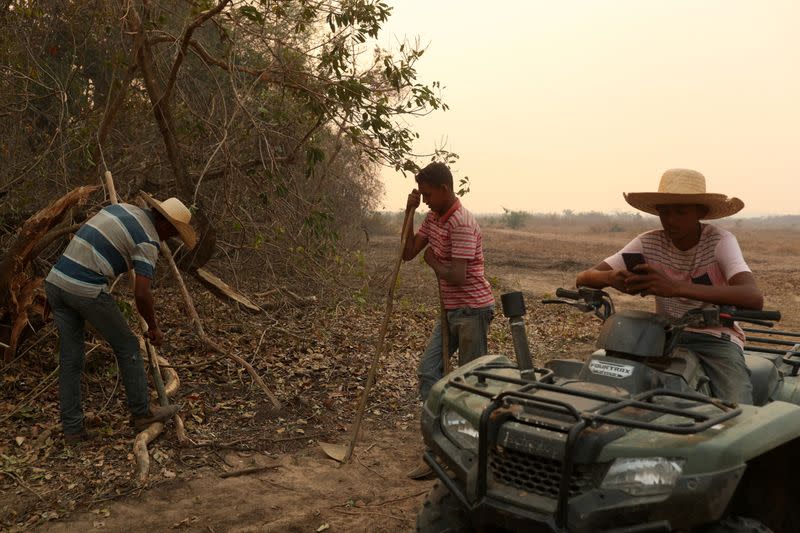 The Wider Image: In Brazil, it's not just the Amazon that's burning. The world's largest wetland is on fire too