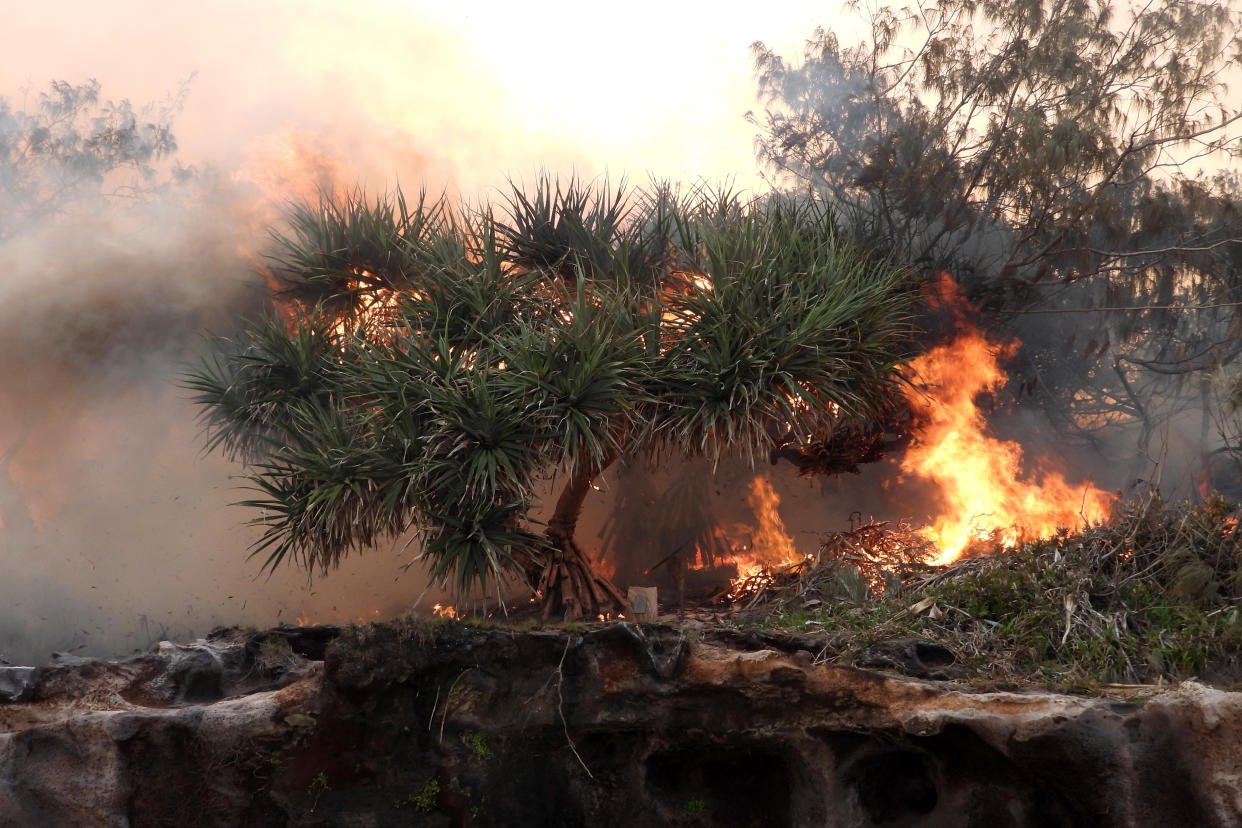 FRASER ISLAND, AUSTRALIA - DECEMBER 07: Coastal vegetation is seen burning close to the beach on December 07, 2020 in Fraser Island, Australia. Queensland Fire and Emergency Services continue to work to contain a bushfire that has been burning on Fraser Island for six weeks, and is now threatening areas with 1,000-year-old trees.  Fraser Island, also known as K'gari, is world heritage listed and the world's largest sand island The fire started in mid-October after an illegal campfire and has since burned across 81,000 hectares of the island. (Photo by Greg Nature Slade/Getty Images)