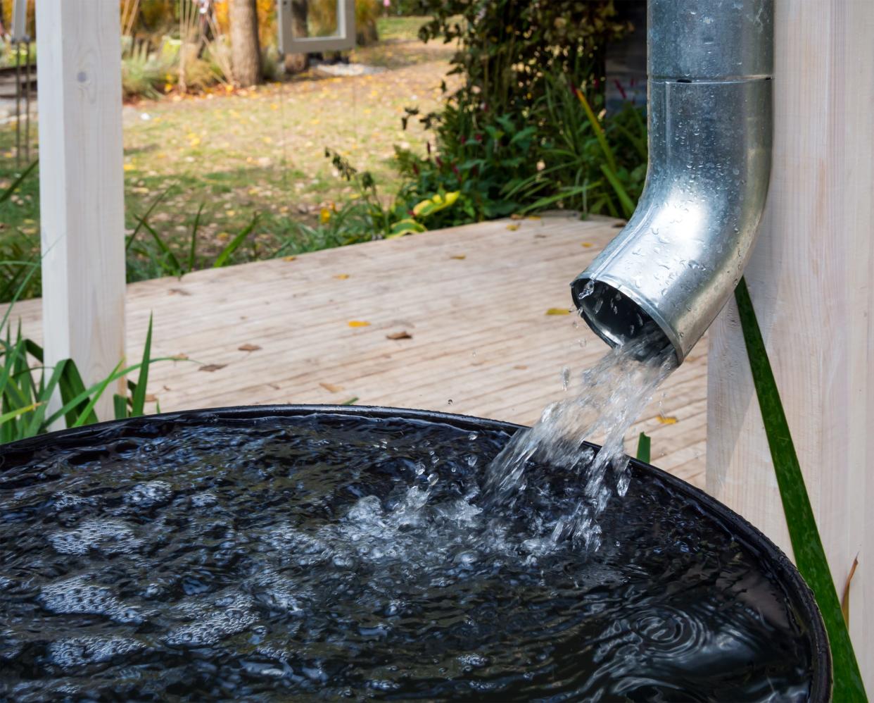 Use a rain barrel for watering your yard and garden.