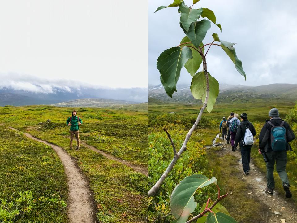 The author and fellow travelers hiking through scenic alpine meadows on a tundra trek.