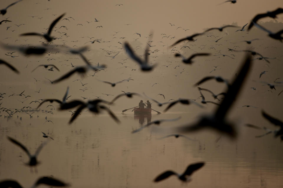 <p>Jedes Jahr ziehen Möwen aus Sibirien und Teilen Asiens nach Neu-Delhi, um dem harten Winter zu entgehen. Einige Anwohner der indischen Hauptstadt füttern die Zugvögel in der Nähe des Yamuna-Flusses. (Bild: Money Sharma/AFP/Getty Images) </p>