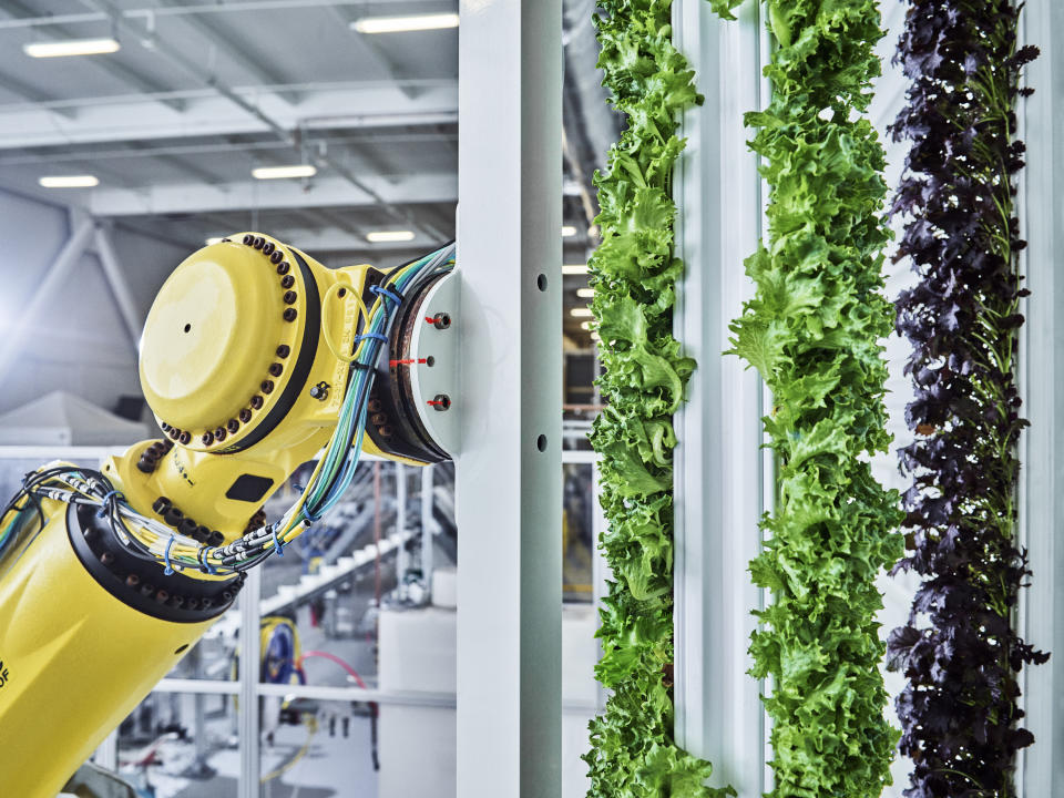 This undated photo provided by Walmart via Plenty, shows a Plenty Farms tower robot. Walmart said Tuesday, Jan. 25, 2022, it has taken a stake in agriculture startup Plenty, becoming the first large U.S. retailer to significantly invest in indoor vertical farming as a way to deliver fresher produce to its stores. (Spencer Lowell/Plenty/Courtesy of Walmart via AP)