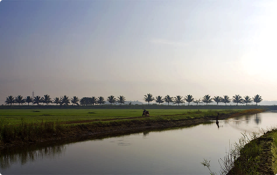 Ribbons of green paddy fields and coconut palms bind these criss-crossing plaits of gently shimmering irrigation canals.