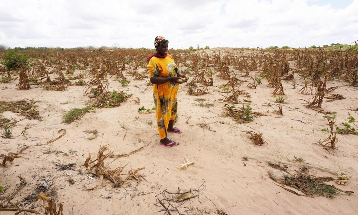 <span>‘From farmers in sub-Saharan Africa battling crop failures to communities in Pakistan and Afghanistan confronted by unprecedented flooding, the impacts are immediate and devastating.’</span><span>Photograph: Xinhua/Alamy</span>