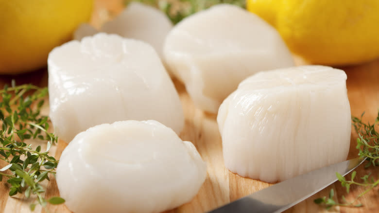 raw scallops with knife on cutting board